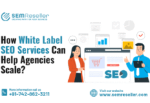 How White Label SEO Services Can Help Agencies Scale?