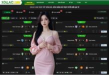 Xoilac Link The Best Platform for Live Football Streams and Fast kqbd Updates